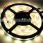 5050 SMD 30/60LED/M RGB Full Color Dream Color WS2812 LED Strip Light with IP67 Waterproof Tube