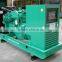INDUSTRIAL DIESEL GENSET
