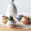 Indoor Plant Pots Ceramics Flower Pots & Planters Home Decor Planet Shape Succulent Flower Pot