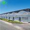 Blue Lifelong Anti-Fogging & Dripping Po Film UV Greenhouse Film for Agriculture