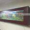 Wall Hanging Aquarium Fish Tank