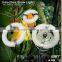 cfl grow light induction lamp tube8 lighting for flower and fruit