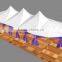 Professional adjustable pole tent with high quality