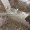 Brown Antique granite tile, Angola Brown granite tile, Classic Brown granite tile
