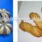 delicious sun cookie making machine with CE approved