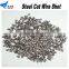 Abrasive Steel Shot for Container Painting