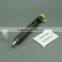 inyectores diesel commonrail EJBR05301D with injector control valve 621c