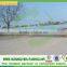 Agriculture PP Spunbond Non woven for Agriculture Covering