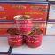 Factory Supply 70gram Tinned Tomato Paste