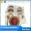 self adhesive transparant sticker,matt varnishing clear roll labels