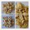 TVP textured soya protein machine