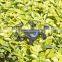 China toys trading companies lily camera drone dropshipper with FPV                        
                                                Quality Choice