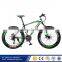 Mountain Bicycle Model X1