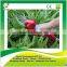 garden battery powered pruning shears