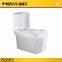 8280GF one piece Middle East style golden colored toilet