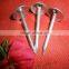 9bwg*2.5" with umbrella head galvanized roofing nails