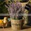 Wholesale Wooden Cask Hanging Plant Bonsai Decorative Bonsai Plant Sale
