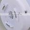 Aroma Diffuser decorative aromatherapy diffuser humidifier ionizer mini air purifier