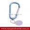 Cheap wholesale D-shaped metal Carabiner/carabiner keychain/carabiner hook