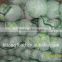 2016 Fresh flat cabbage (big size) from new crop of China origin