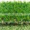 China Landscape Artificial Grass for Garden Decoration