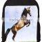 New fashion picture of school bag Casual Laptop Backpak Fits All 15 - 15.6" Inch Laptops (YX-Z040)
