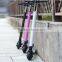 High quality fashionable chariot 2 wheels stand up electric scooter