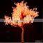 Unique 5m RGB ginkgo leaf Large projection led tree