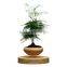 Christmas gift indoor levitating potted plant pots potted flower pots