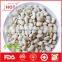 Hot sale white kidney beans from China