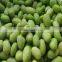 Hot Sale IQF Frozen Green Soybean Kernels