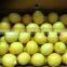 Fresh Lemon