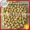 Red skin raw blanched peanuts for sale