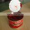 fresh tomato paste canned with very fair price