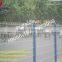 beautiful strike resistance street fence of golden or standard white color/street metal fence