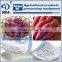 Sweet potato starch processing machinery factory in China