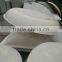Fiberglass roof exhaust fan/FRP Fan/Roof ventilation fan