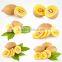 best quality new chinese kiwifruit brand