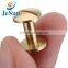 High quanlity custom brass chicago screws