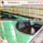 palm kernel machinery malaysia