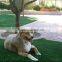 garden artificial turf landscaping decoration style turf for sale