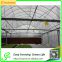 many size can be choose for Greenhouse