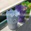 Eco-friendly Toy bucket/Metal Small garden pot/ Zinc Flower Planter