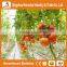 Heracles Trade Assurance low cost agricultural greenhouse