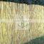 reed fence