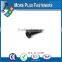 Made in Taiwan high Quality black coating Manufacturer Pan Head Self Tapping Screw