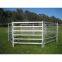 Metal Pipe Oval Rails Portable Cattle Yard Panel