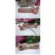 2012 Newest 12pcs/lot Classic Design 8cm Cute Lady Girls Hairpins Acrylic Hair Clips,free shipping