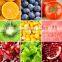 Fruit washing grading machine Full automatic Vegetable and fruit washing cleaning cooling drying machine