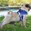 Hot style pet chest strap reflective dog leash small dog vest type pet leash wholesale